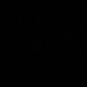 Meet your Posher, Arielle